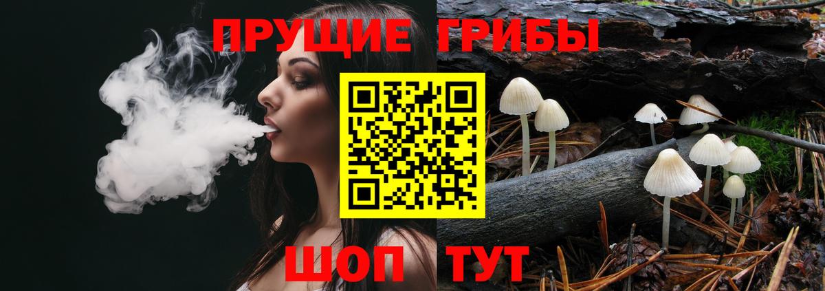 Чистополь  Псилоцибиновые грибы Psilocybine cubensis  Вход с VPN 